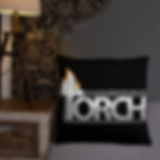 Thumbnail: TORCH Basic Pillow
