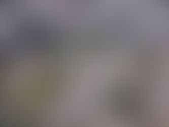 Bahia lidera ranking de mortes violentas e soma quase 7 mil assassinatos em 2022