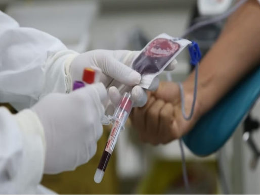 Pastoral da Saúde da Arquidiocese de Salvador conclama católicos a doarem sangue