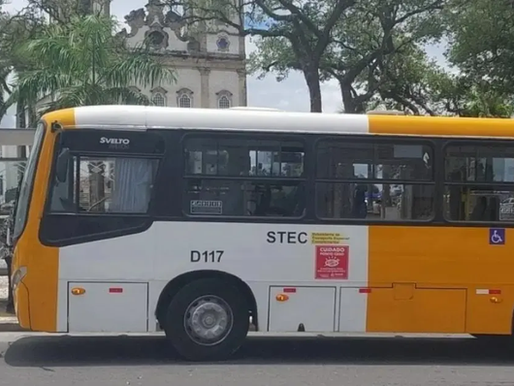 Após empréstimo de R$ 95 mi, STEC questiona eventual mudança em modelo de ônibus do transporte complementar de Salvador