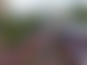 Carnaval da Bahia bate recorde em 2026 com 3,8 milhões de turistas e R$ 8,1 bilhões em receita