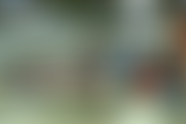 Taxa de ocupação hoteleira chega a 99% no domingo de Carnaval e supera período em 2025