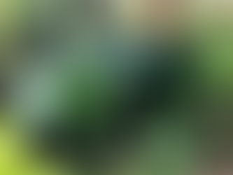 Agricultura familiar receberá R$ 60 milhões para produção de bioinsumo