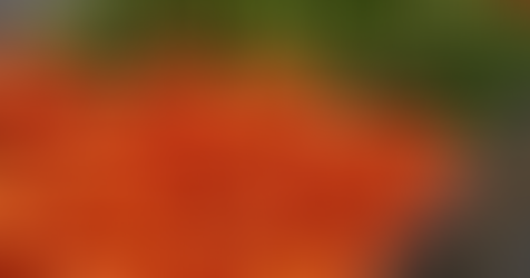 Prévia da inflação é de 0,43% em abril, com altas principalmente em alimentação e saúde; Salvador tem terceiro melhor resultado