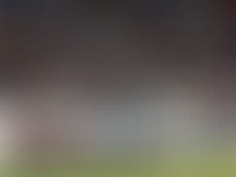 Bahia abre venda de ingressos para jogo contra o Coritiba na Arena Fonte Nova