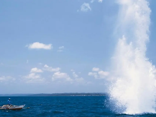 PF realiza operação contra pesca ilegal com explosivos na Baía de Todos-os-Santos