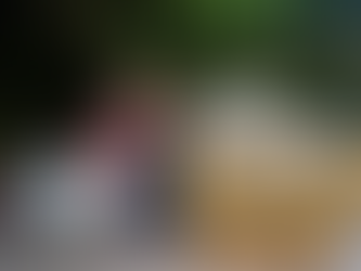 Salvador registra recorde de 64 mil novas empresas e consolida liderança empreendedora no Nordeste