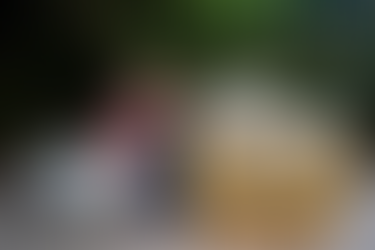 Salvador registra recorde de 64 mil novas empresas e consolida liderança empreendedora no Nordeste