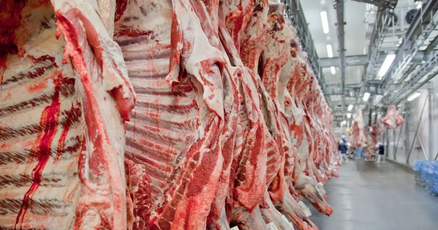 União Europeia formaliza veto a compra de carne brasileira; medida passa a valer em setembro 