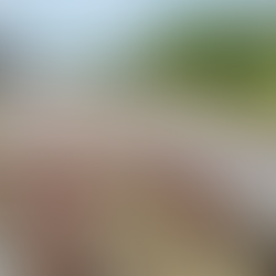 Governo federal prepara simplificação do marco legal das ferrovias