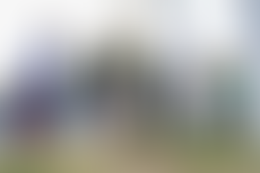 Prefeitura inicia Operação Plantio Chuva 2026 com 125 mudas na região do Mané Dendê