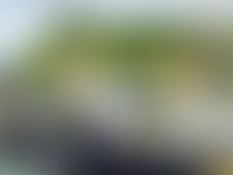 Petrobras anuncia redução de 7,1% no preço do gás natural