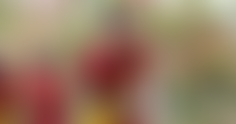 Após passagem pela Juazeirense, Victor Ramos cogita aposentadoria e tem proposta do Feira FC