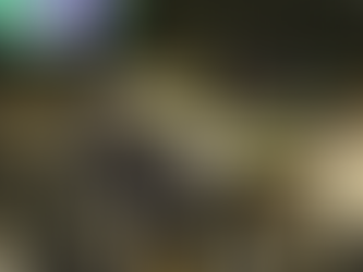 Comissão do Congresso aprova verba extra a partidos estimada em R$ 160 mi para 2026