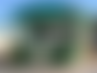 Pais são presos sob suspeita de agredir filhos com raquetadas no interior de SP