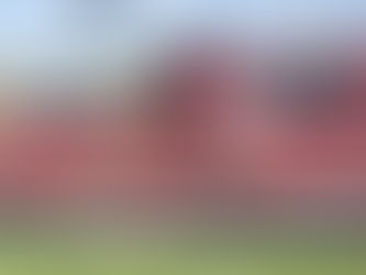 Vitória combate uso de marca sem autorização e vendedores populares protestam; entenda