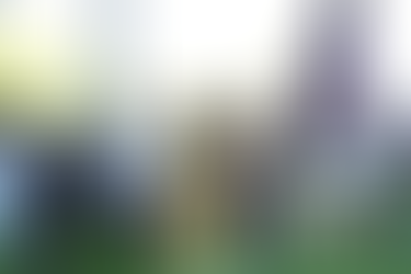 Prefeito Bruno Reis participa da Caminhada Penitencial 2026 e rende homenagens no Dia Internacional da Mulher