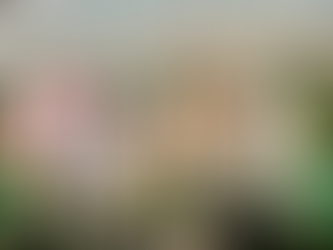 Salvador segue na COP30 e apresenta avanços da agenda climática municipal