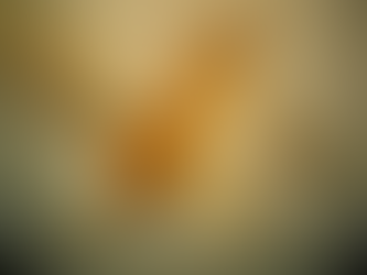 Febre do oropouche aumentou quase 200 vezes comparados à última década, diz estudo