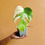 Thumbnail: Monstera albo Variegated Plant With Leaf