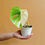 Thumbnail: Monstera albo Variegated Plant With Leaf