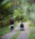 Enjoying the Woods_edited.jpg