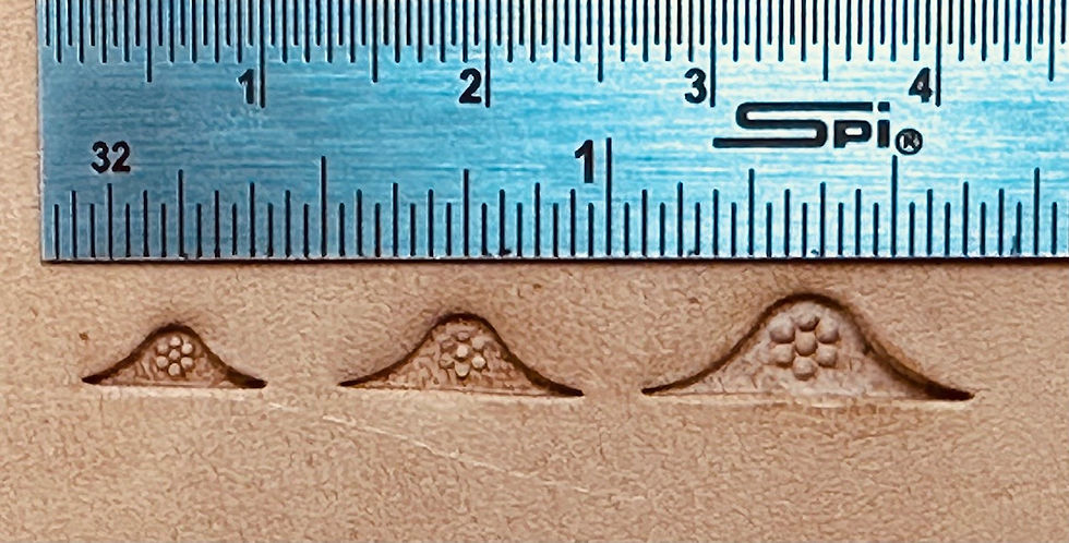 6 Seed Serpentine Border