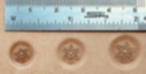 Pointed 6 Petal w/ Seeds
