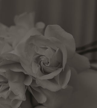 3Y4A9623.jpg