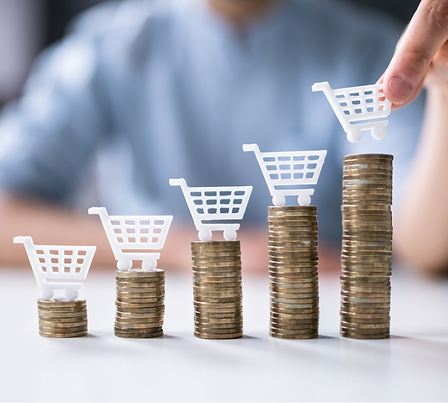 E-commerce profit