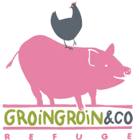 cropped-gg-logo-new-transparent.webp