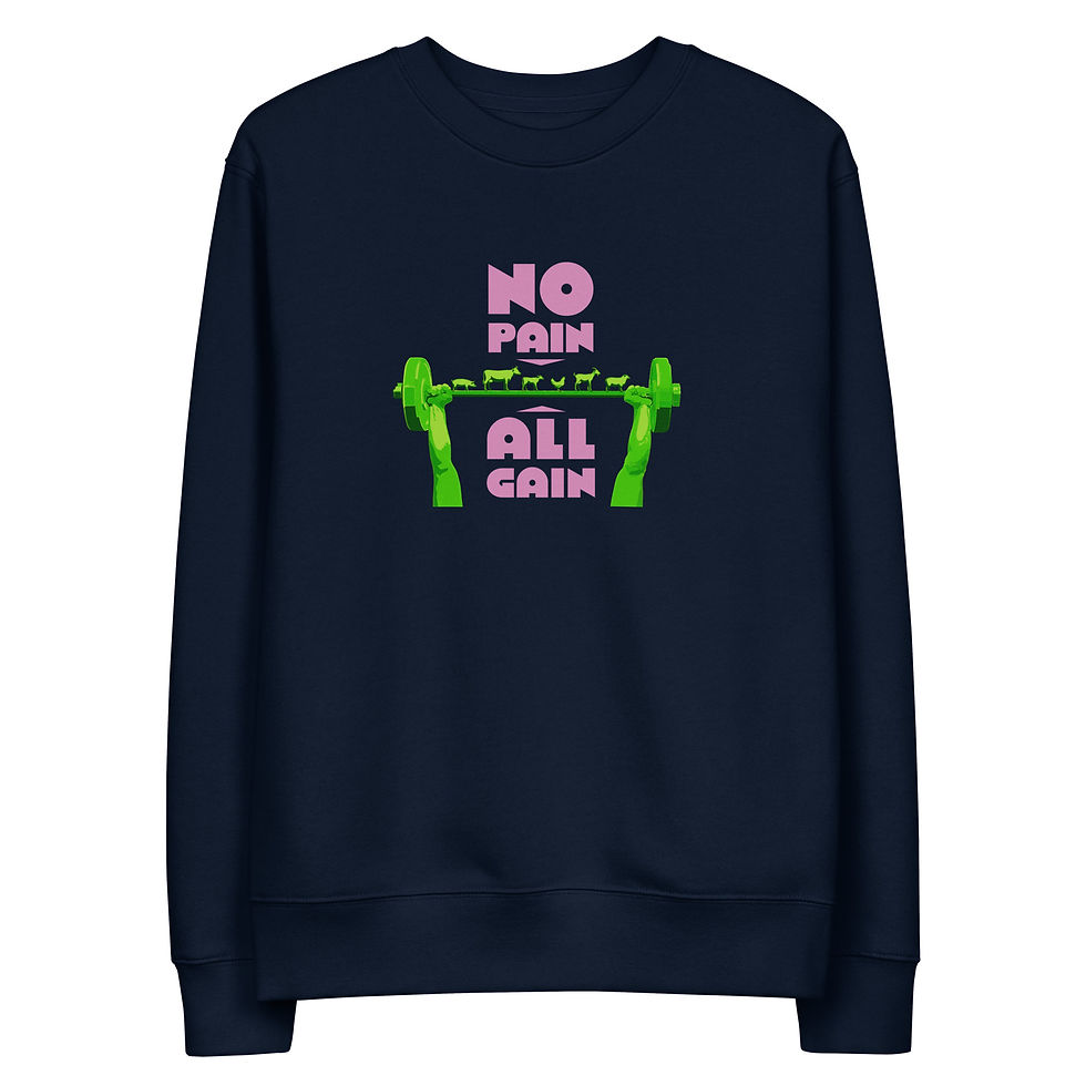 Miniature : Sweat-shirt unisexe - NO PAIN ALL GAIN - 350g