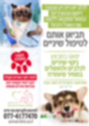 Flyer_Dentist.png