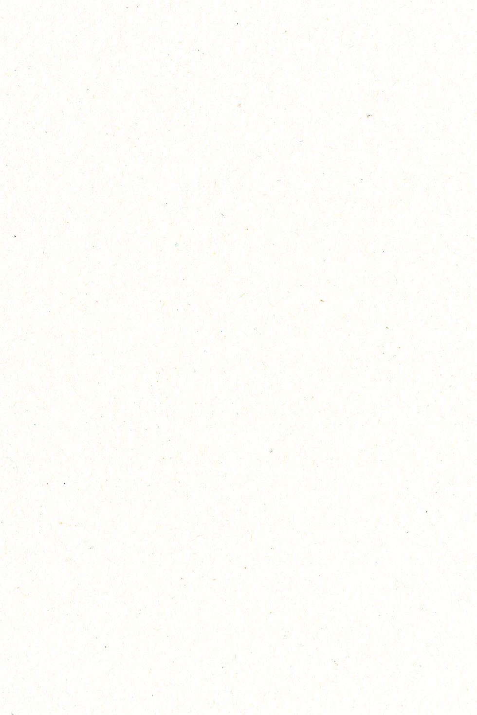 BG Craft.jpg