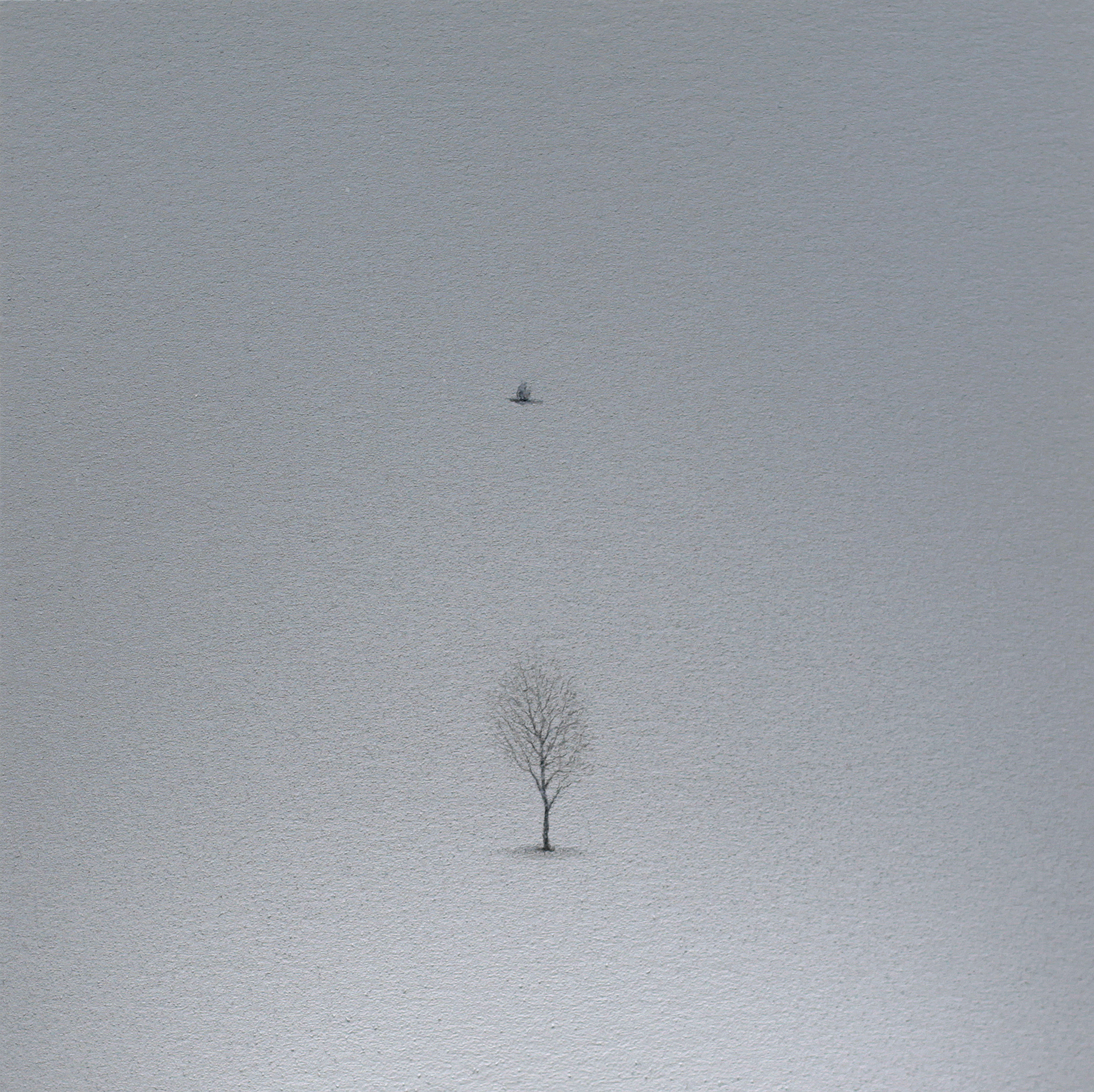 Metin Kalkızoğlu 10x10cm