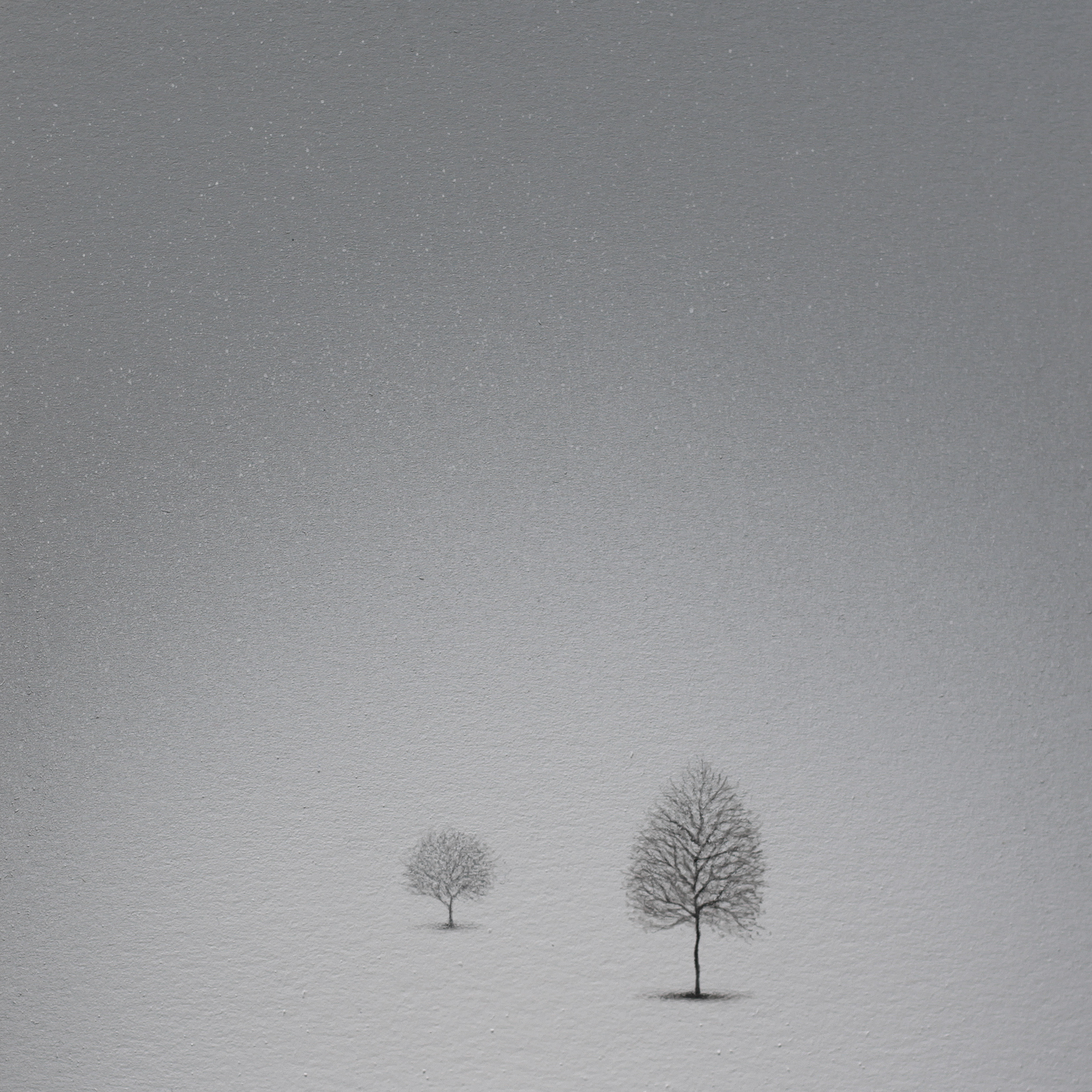 Metin Kalkızoğlu 12x12cm