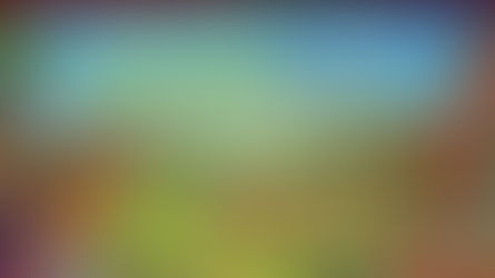 APCC's Summer Camp Returns This Year!