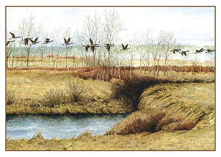 Geese over the Tantramar Notecard