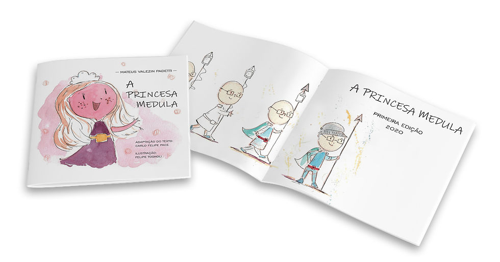 Miniatura: Livro "A Princesa Medula"
