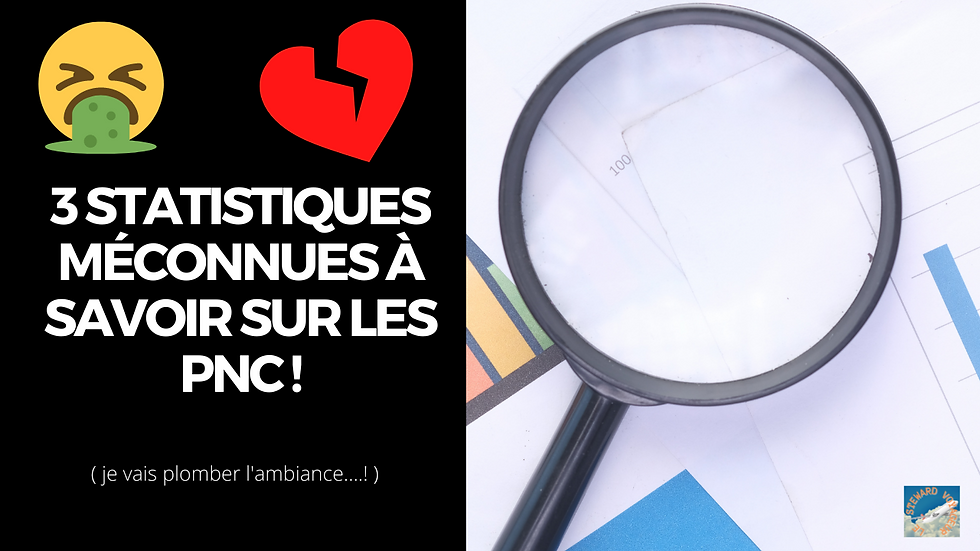 3 statistiques à connaître sur les hôtesses de l'air !
