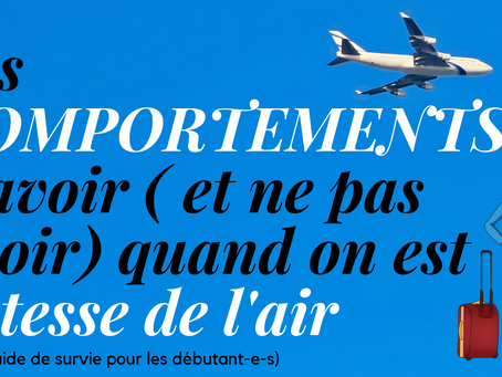 Petit guide du comportement pour les hôtesses de l'air