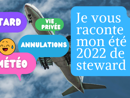 Je vous raconte mon été 2022 de steward