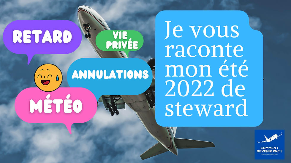 Je vous raconte mon été 2022 de steward