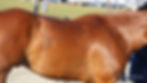 ree