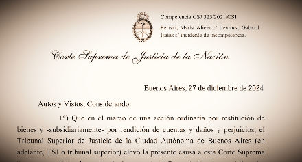 fallo levinas, tsj, recurso de inconstitucionalidad