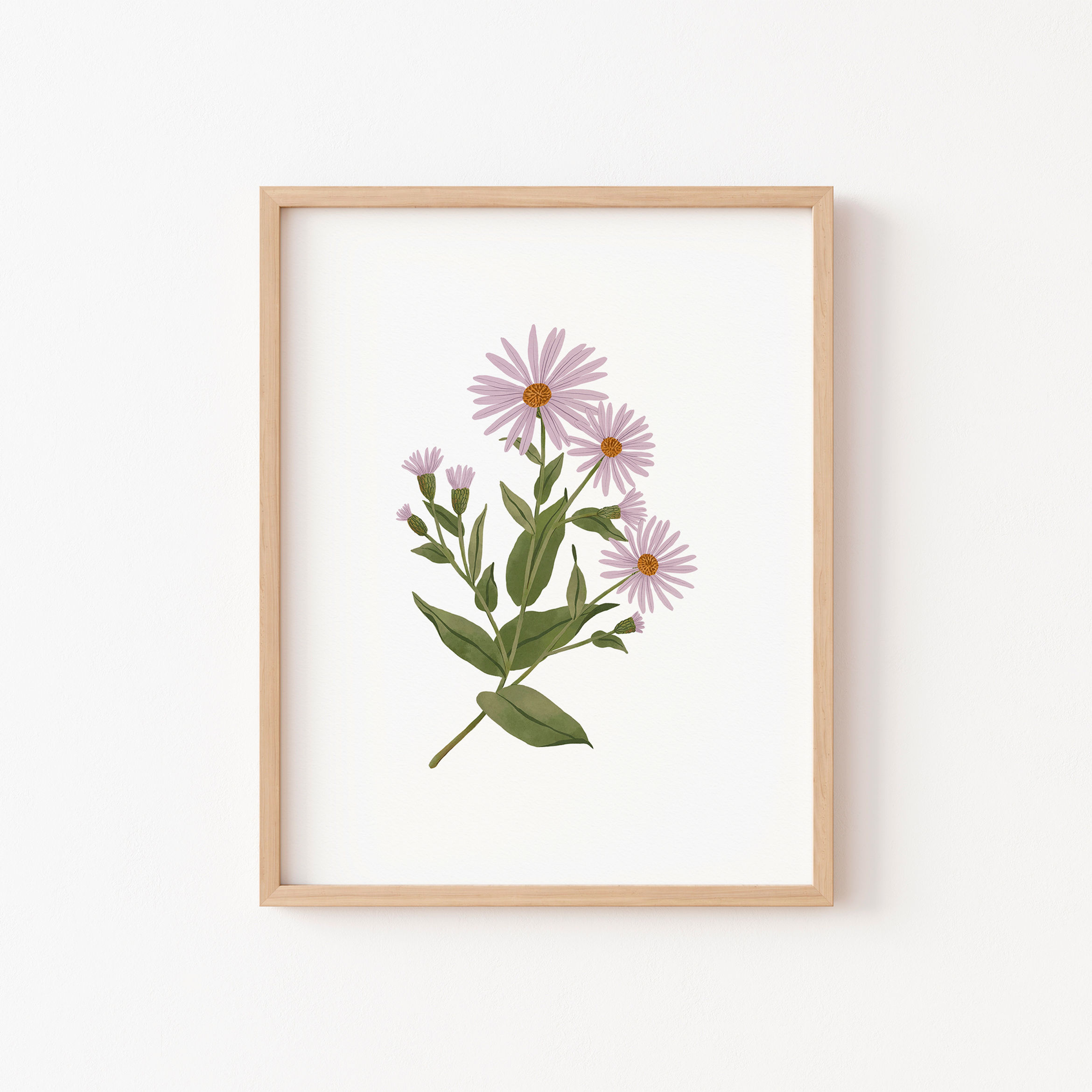 Aster | Affiche