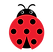 Ladybird