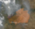 Wildfires on June 18, 2017, showing Castelo Branco district