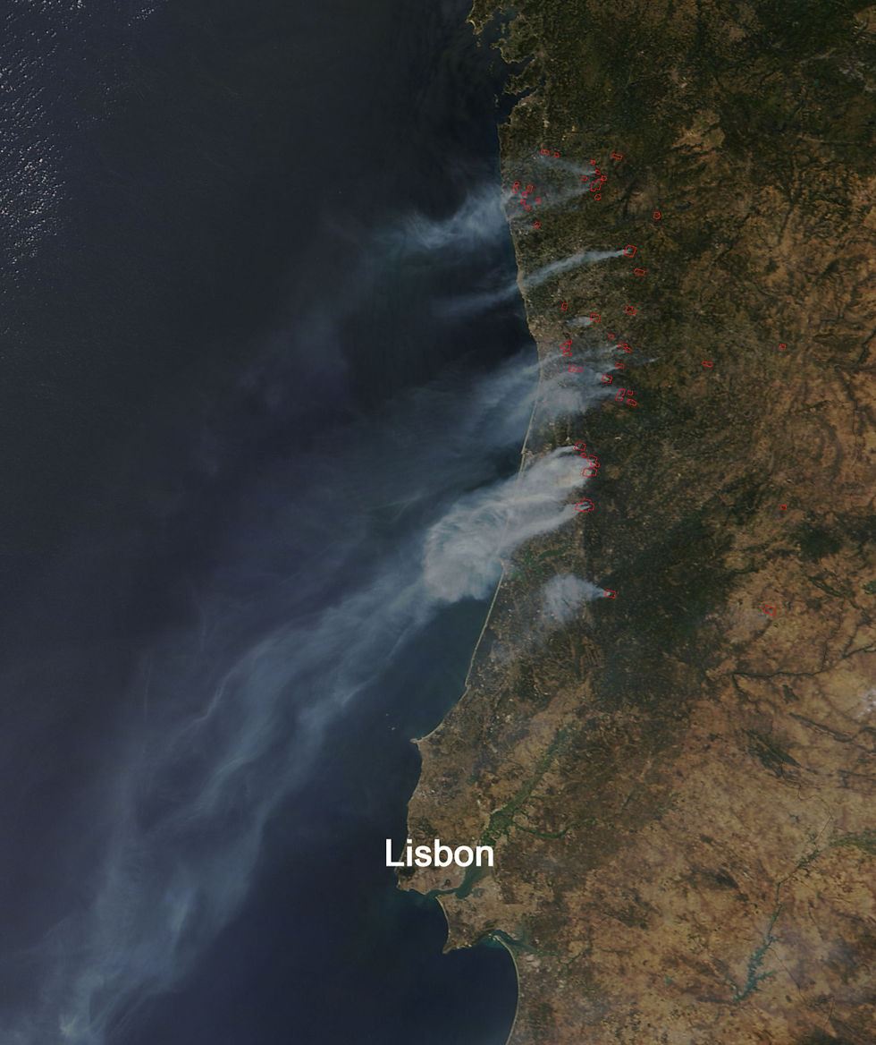 Wildfires in Portugal August 10, 2016