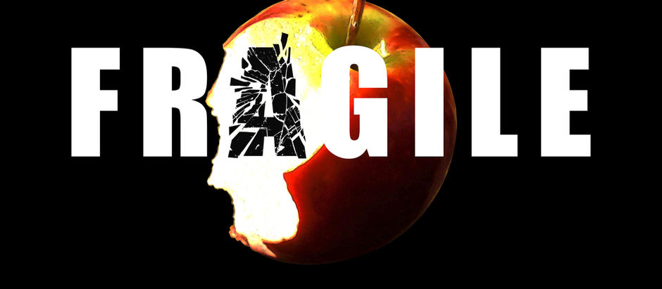 Portfolio: Life's Very Fragile